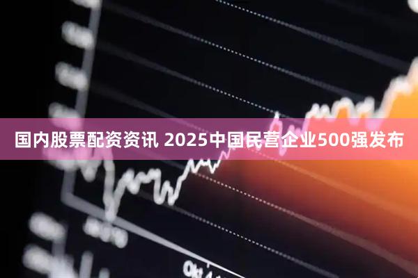 国内股票配资资讯 2025中国民营企业500强发布