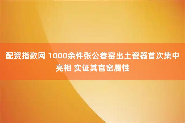 配资指数网 1000余件张公巷窑出土瓷器首次集中亮相 实证其官窑属性