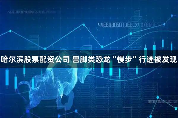 哈尔滨股票配资公司 兽脚类恐龙“慢步”行迹被发现
