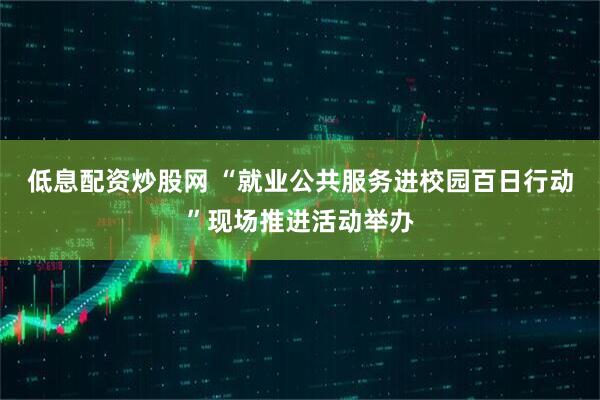 低息配资炒股网 “就业公共服务进校园百日行动”现场推进活动举办