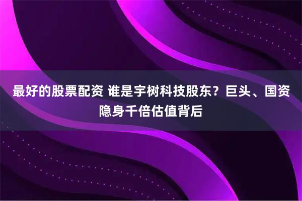 最好的股票配资 谁是宇树科技股东？巨头、国资隐身千倍估值背后